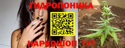 spice Кулебаки