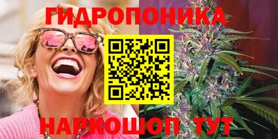 spice Кулебаки