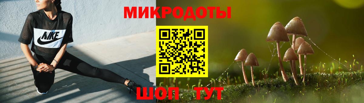где найти наркотики  Псилоцибиновые грибы Magic Shrooms  Вход с VPN  Галлюциногенные грибы ЛСД  Каменск-Шахтинский 
