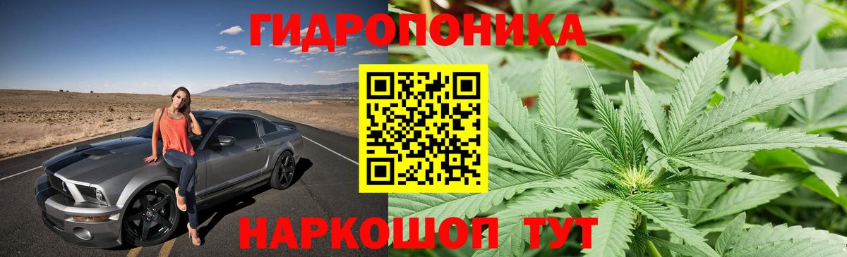 Бошки Шишки THC 21%  Канабис тримм  Каменск-Шахтинский  Вход с VPN  Каннабис семена  Марихуана Ganja 
